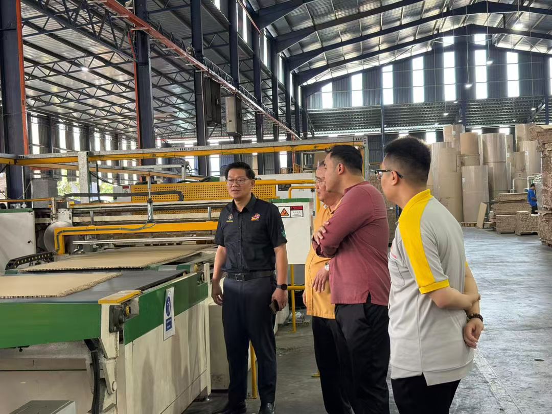 微信图片_20260114161124_478_31