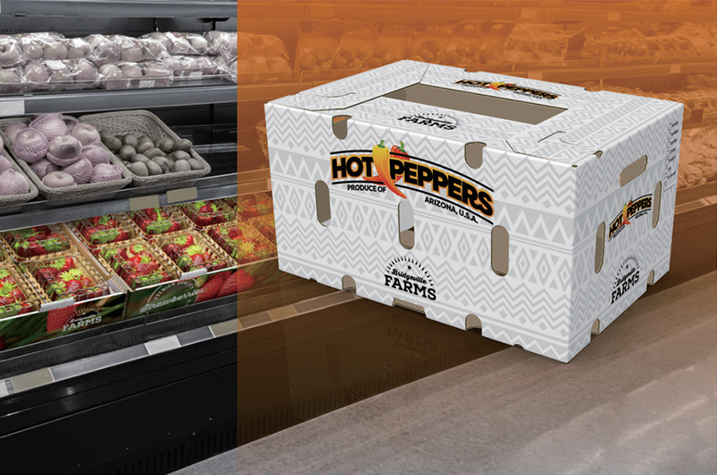 Printing and Packaging Industry cutting machine